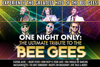 2024.2025 Bee Gees Now!